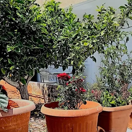 Boyzianas Karavádhos