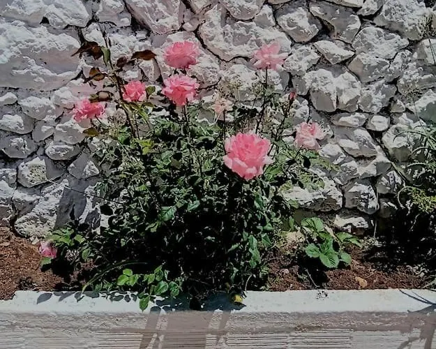 Boyzianas Apartment Karavados