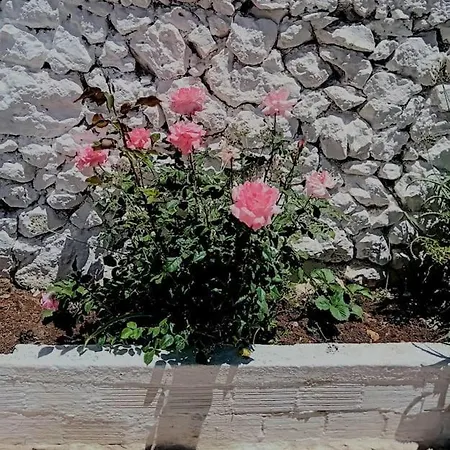 Boyzianas Apartment Karavados