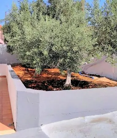 Vouzianas Home